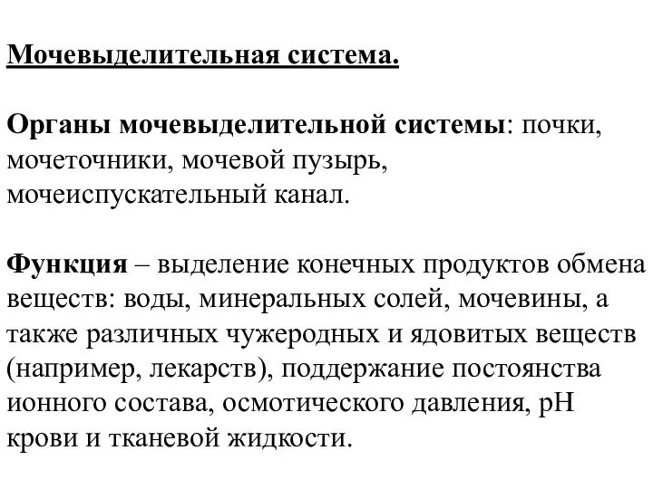 Мочевыделительная система. Органы мочевыделительной системы: почки, мочеточники, мочевой пузырь, мочеиспускательный канал.