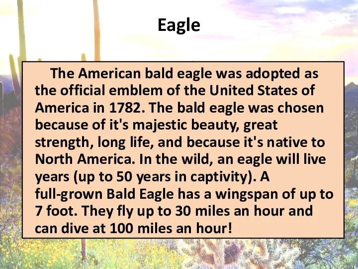 Eagle The American bald eagle was adopted as the official emblem