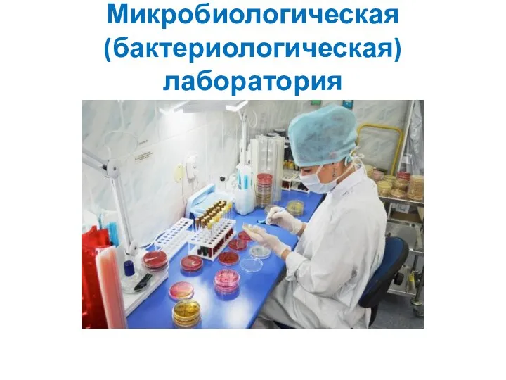 Микробиологическая (бактериологическая)лаборатория