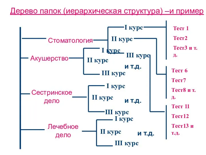 Дерево папок (иерархическая структура) –и пример Акушерство Сестринскоедело Лечебное дело Стоматология