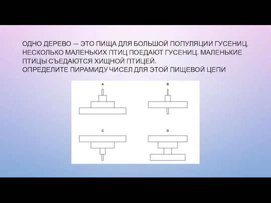 ОДНО ДЕРЕВО — ЭТО ПИЩА ДЛЯ БОЛЬШОЙ ПОПУЛЯЦИИ ГУСЕНИЦ. НЕСКОЛЬКО МАЛЕНЬКИХ