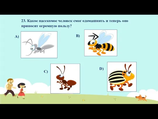 23. Какое насекомое человек смог одомашнить и теперь оно приносит огромную пользу? А) B) С) D)