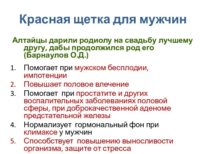 Красная щетка для мужчин Алтайцы дарили родиолу на свадьбу лучшему другу,