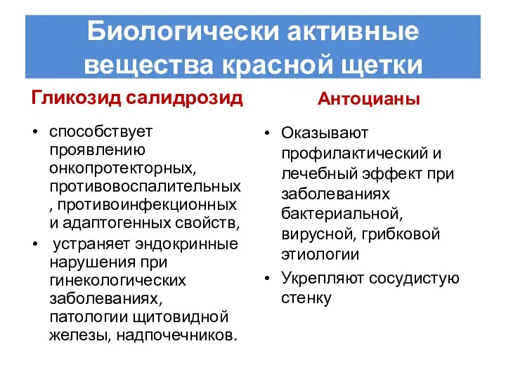 Биологически активные вещества красной щетки Гликозид салидрозид способствует проявлению онкопротекторных, противовоспалительных,