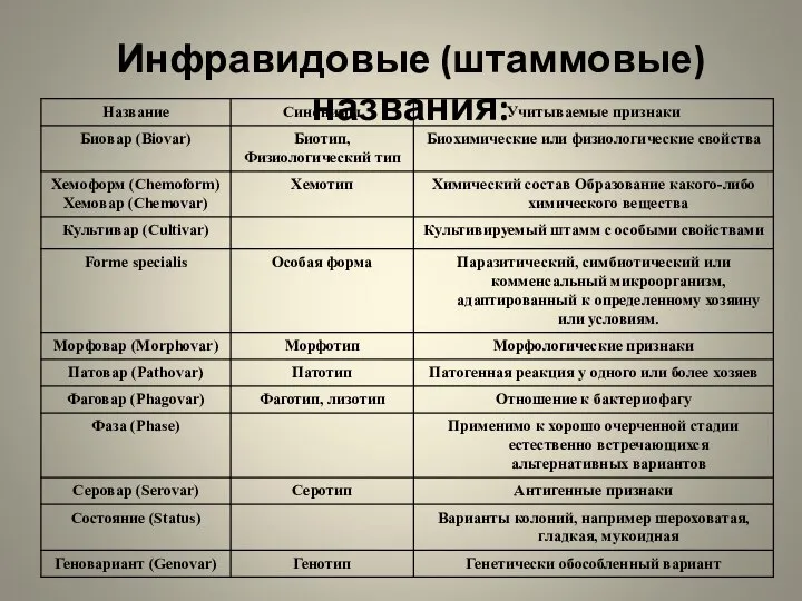 Инфравидовые (штаммовые) названия: