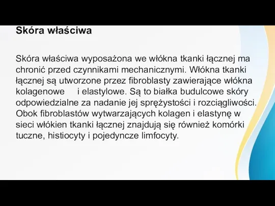 Skóra właściwa Skóra właściwa wyposażona we włókna tkanki łącznej ma chronić