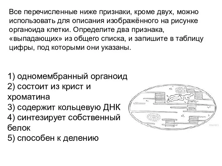 Все перечисленные ниже признаки, кроме двух, можно использовать для описания изображённого