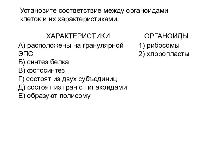 Установите соответствие между органоидами клеток и их характеристиками.