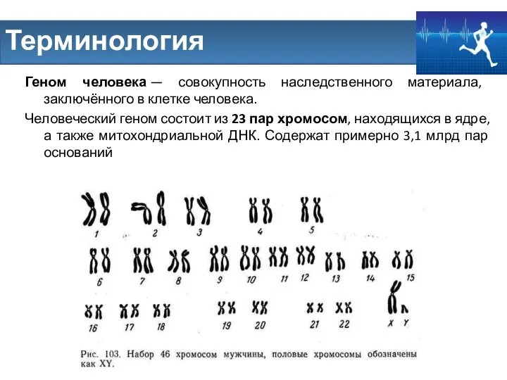 Геном человека — совокупность наследственного материала, заключённого в клетке человека. Человеческий