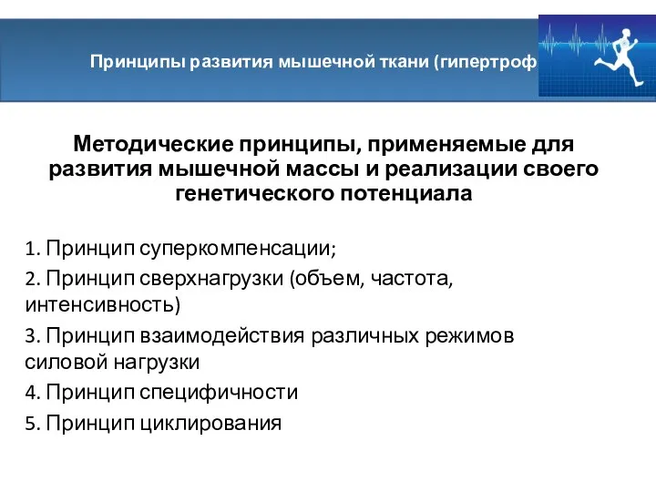 Методические принципы, применяемые для развития мышечной массы и реализации своего генетического