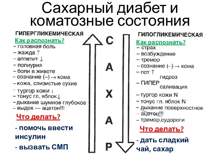 Сахарный диабет и коматозные состояния Что делать? Что делать? Как распознать?