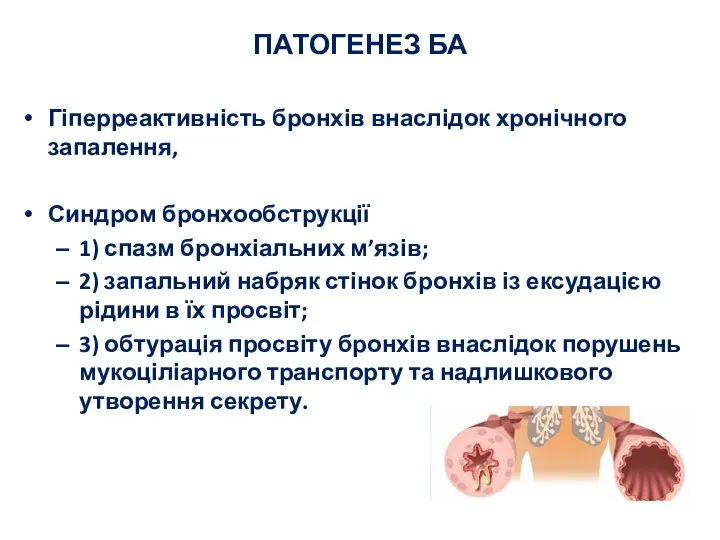 ПАТОГЕНЕЗ БА Гіперреактивність бронхів внаслідок хронічного запалення, Синдром бронхообструкції 1) спазм