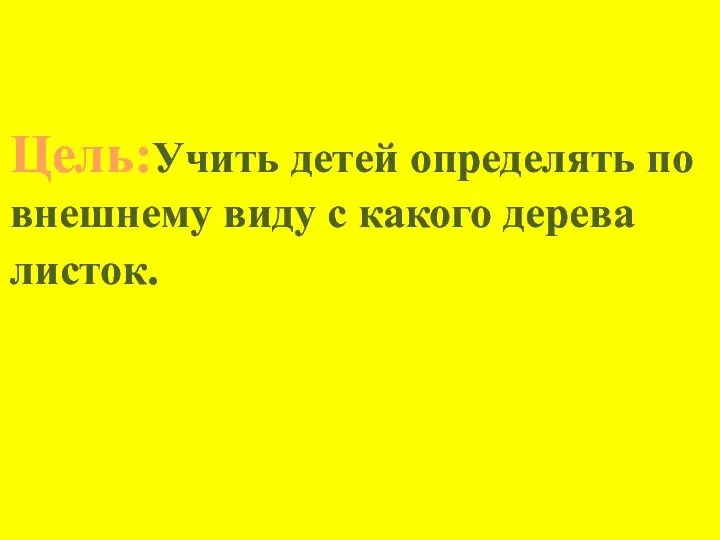 Цель:Учить детей определять по внешнему виду с какого дерева листок.