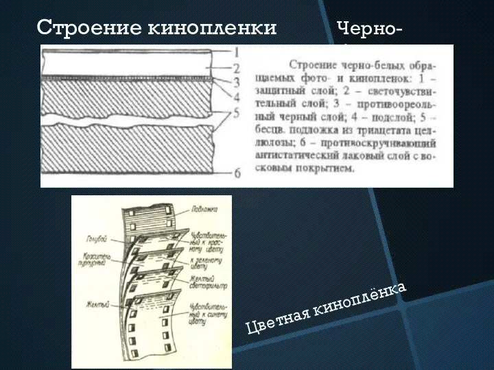 Строение кинопленки Цветная киноплёнка Черно-белая