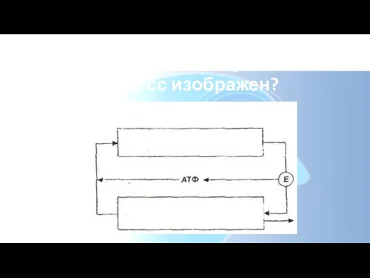 Рассмотрите схему, какой процесс изображен?