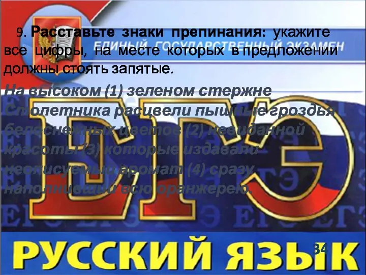 9. Расставьте знаки препинания: укажите все цифры, на месте которых в