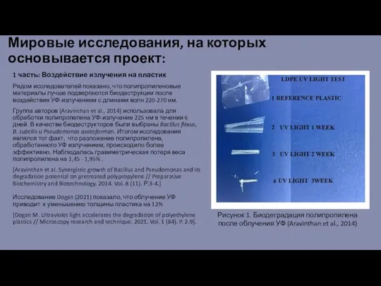 Мировые исследования, на которых основывается проект: 1 часть: Воздействие излучения на