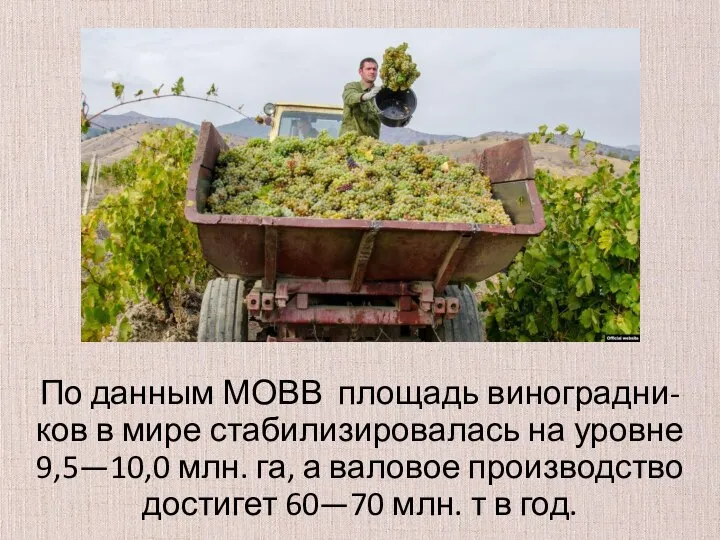 По данным МОВВ площадь виноградни- ков в мире стабилизировалась на уровне
