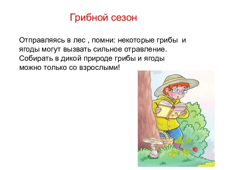 Грибной сезон Отправляясь в лес , помни: некоторые грибы и ягоды