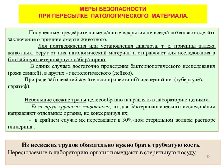 Из несвежих трупов обязательно нужно брать трубчатую кость. Пересылаемые в лабораторию