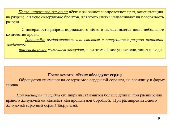 После наружного осмотра лёгкое разрезают и определяют цвет, консистенцию на разрезе,