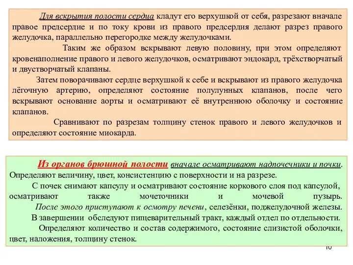 Для вскрытия полости сердца кладут его верхушкой от себя, разрезают вначале