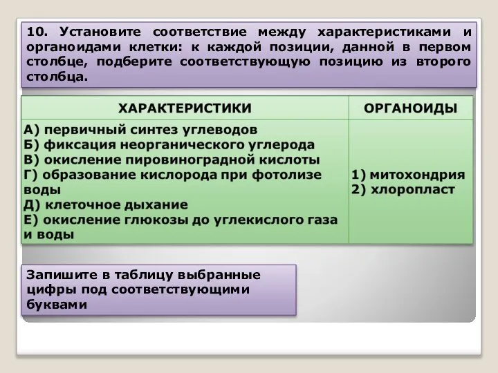 10. Установите соответствие между характеристиками и органоидами клетки: к каждой позиции,