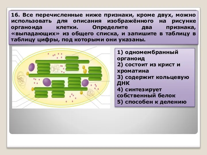 16. Все перечисленные ниже признаки, кроме двух, можно использовать для описания