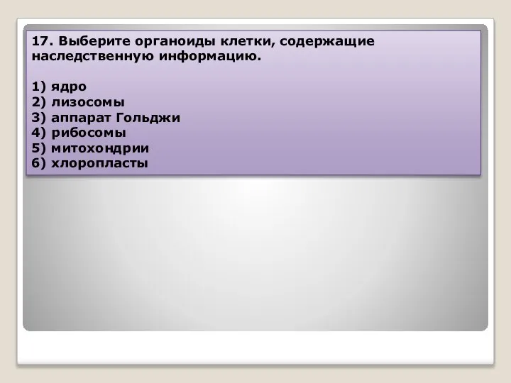 17. Выберите органоиды клетки, содержащие наследственную информацию. 1) ядро 2) лизосомы