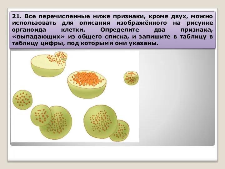 21. Все перечисленные ниже признаки, кроме двух, можно использовать для описания