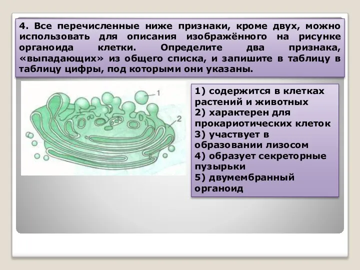 4. Все перечисленные ниже признаки, кроме двух, можно использовать для описания