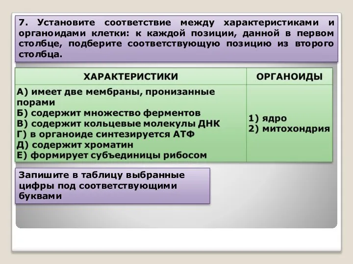 7. Установите соответствие между характеристиками и органоидами клетки: к каждой позиции,