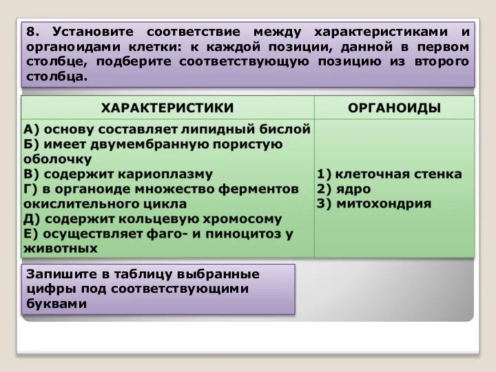 8. Установите соответствие между характеристиками и органоидами клетки: к каждой позиции,