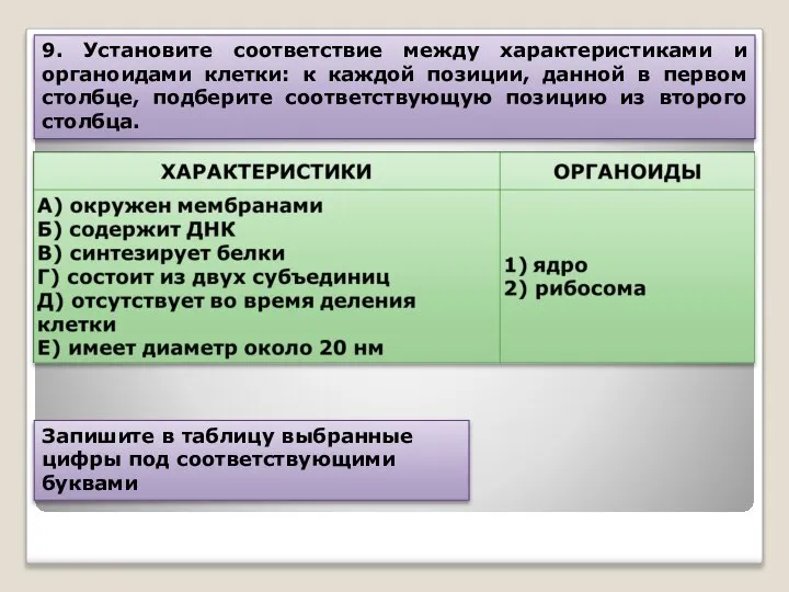 Запишите в таблицу выбранные цифры под соответствующими буквами 9. Установите соответствие