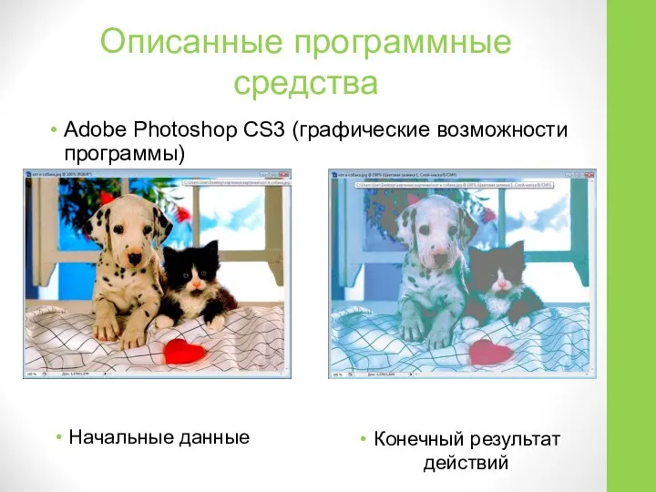 Описанные программные средства Adobe Photoshop CS3 (графические возможности программы) Начальные данные Конечный результат действий