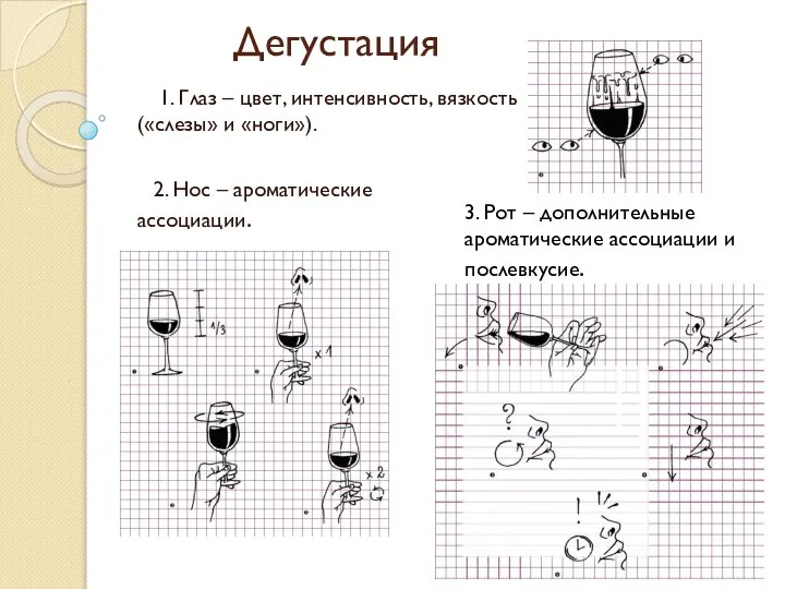 Дегустация 1. Глаз – цвет, интенсивность, вязкость («слезы» и «ноги»). 2.