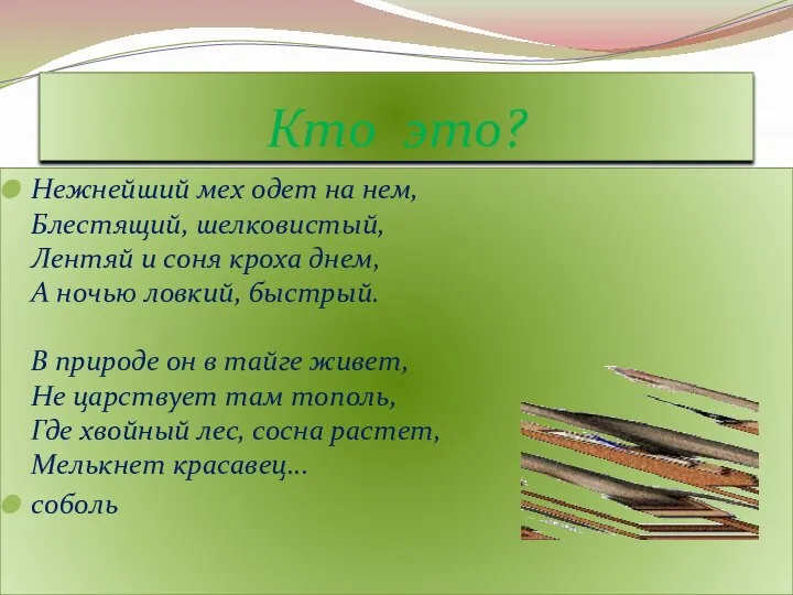 Кто это? Нежнейший мех одет на нем, Блестящий, шелковистый, Лентяй и