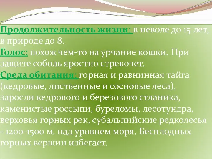 Продолжительность жизни: в неволе до 15 лет, в природе до 8.