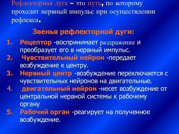 Рефлекторная дуга – это путь, по которому проходит нервный импульс при