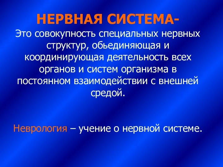 НЕРВНАЯ СИСТЕМА- Это совокупность специальных нервных структур, обьединяющая и координирующая деятельность