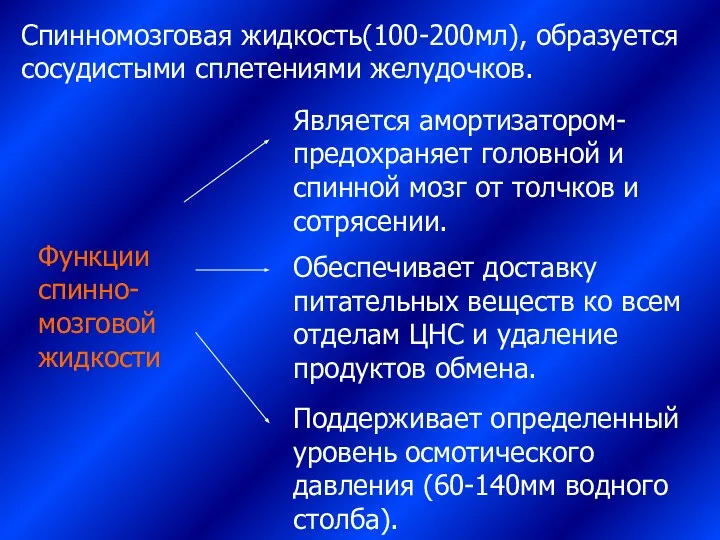 Функции спинно-мозговой жидкости Является амортизатором-предохраняет головной и спинной мозг от толчков