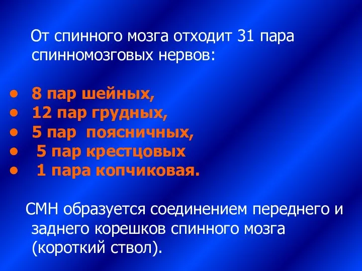 От спинного мозга отходит 31 пара спинномозговых нервов: 8 пар шейных,