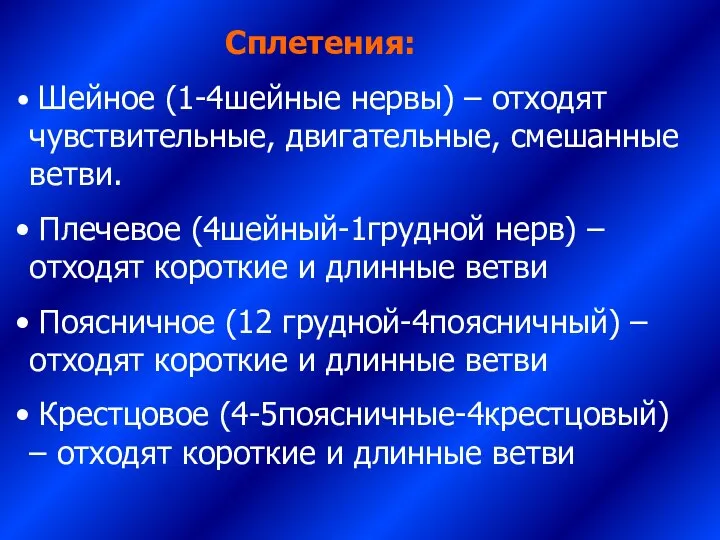 Сплетения: Шейное (1-4шейные нервы) – отходят чувствительные, двигательные, смешанные ветви. Плечевое