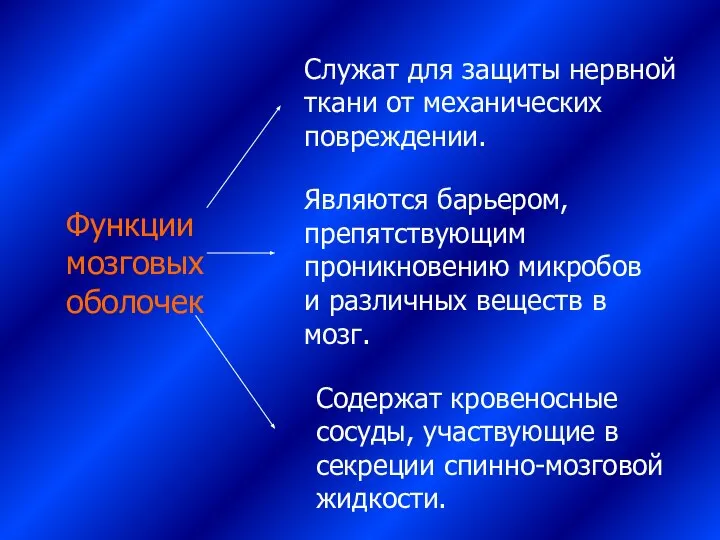 Функции мозговых оболочек Служат для защиты нервной ткани от механических повреждении.