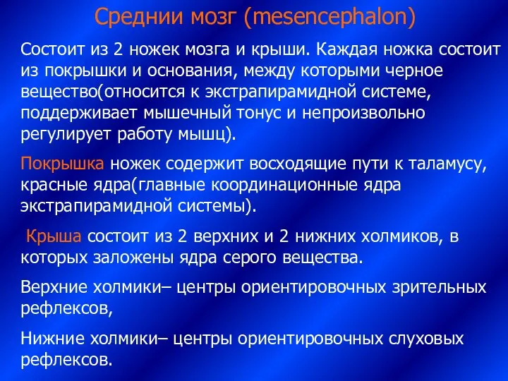 Среднии мозг (mesencephalon) Состоит из 2 ножек мозга и крыши. Каждая