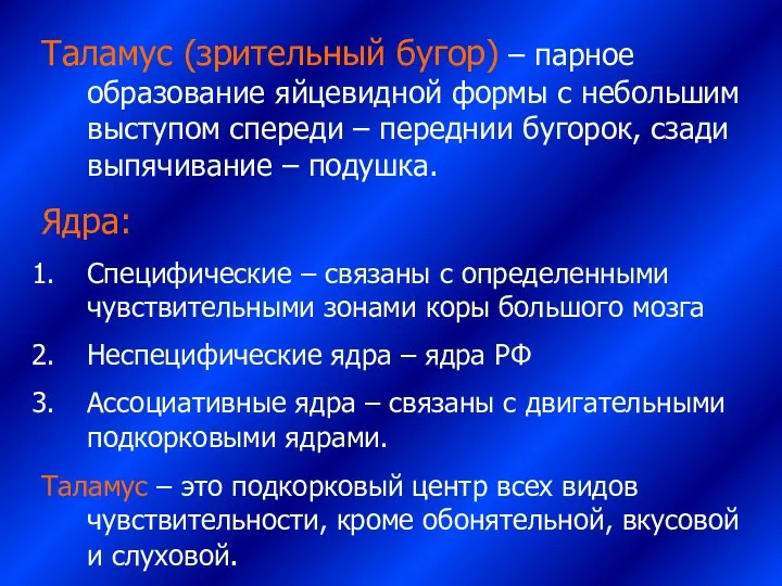 Таламус (зрительный бугор) – парное образование яйцевидной формы с небольшим выступом