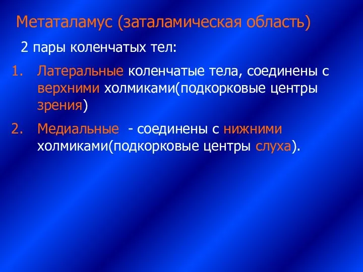 Метаталамус (заталамическая область) 2 пары коленчатых тел: Латеральные коленчатые тела, соединены