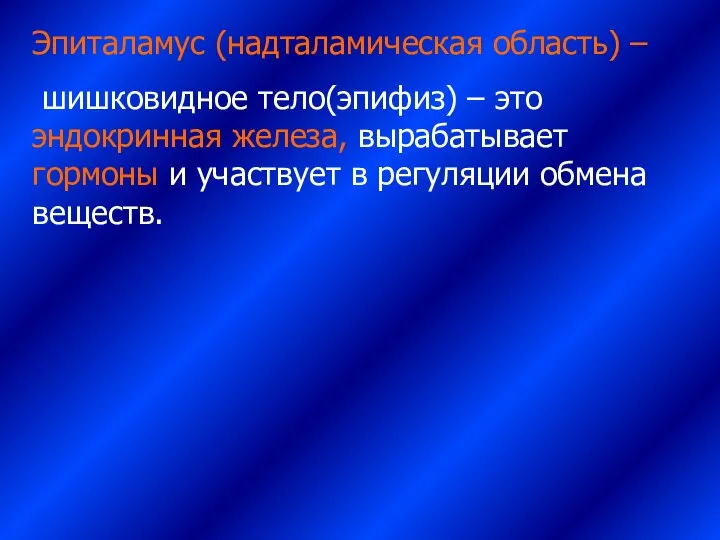 Эпиталамус (надталамическая область) – шишковидное тело(эпифиз) – это эндокринная железа, вырабатывает