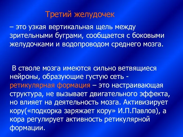 Третий желудочек – это узкая вертикальная щель между зрительными буграми, сообщается