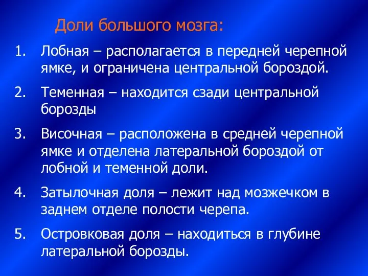 Доли большого мозга: Лобная – располагается в передней черепной ямке, и